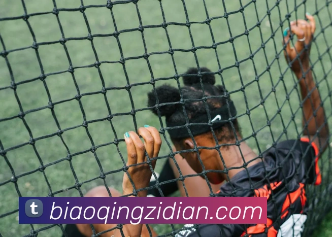 九游体育官方平台APP 封面图